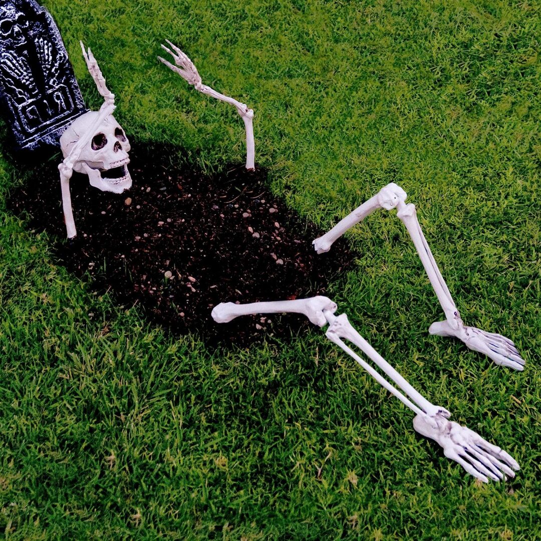 A1YCqwd0IHL._AC_SL1500_